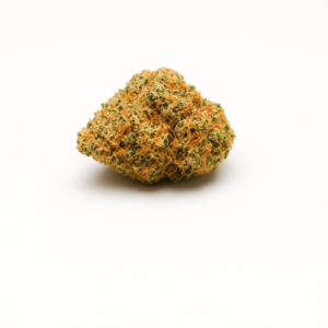 <span style="font-size:30px; color:#558258; ">Plutonium </span><br><span>Corsée & Profonde</span>