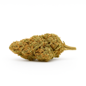 <span style="font-size:30px; color:#558258; ">Amnesia Haze </span><br><span>Éveil Intérieur</span>