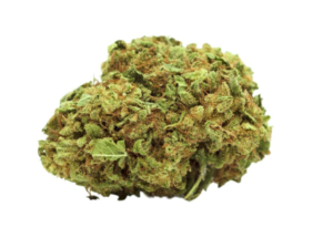 <span style="font-size:30px; color:#558258; ">AK-47 </span><br><span>Énergie et Sérénité</span>