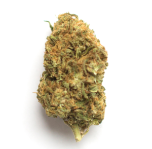 <span style="font-size:30px; color:#558258; ">Melon Cake </span><br><span>Gourmande & Relaxante</span>