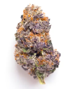 <span style="font-size:30px; color:#558258; ">Dolce Gelato </span><br><span>Gourmande & Fruité </span>