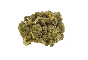 <span style="font-size:30px; color:#558258; ">Orange Medium bud</span><br><span> Agrumée & Revigorante</span>